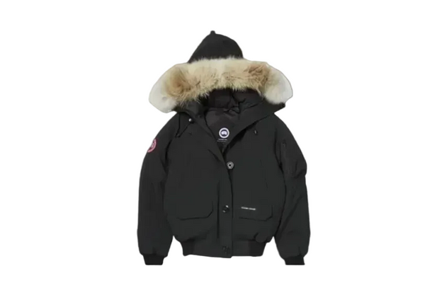 Canada Goose