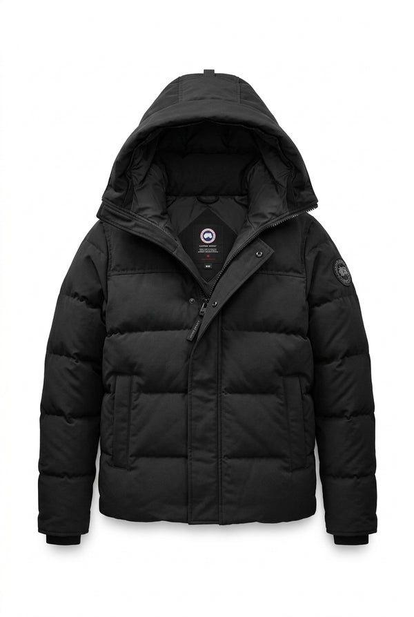 Canada goose gris noir
